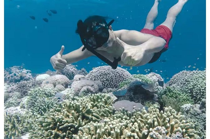 Bali and Lovina with Sunrise Dolphin Tour and Snorkeling - The guide support can make a difference