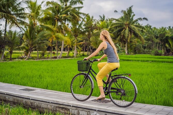 Bali ATV Bike Cave and waterfall with hotel Pick Up And Lunch - Who should book this Ubud ATV tour?