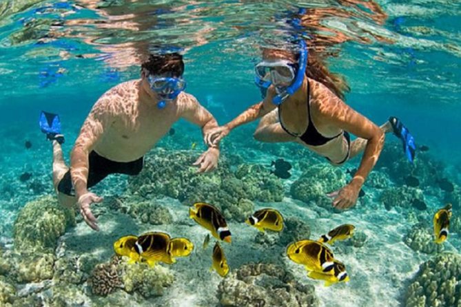 Bali ATV Blue Lagoon Snorkeling Private Guided Tour Free WiFi - What the snorkeling stop does well, and where to be realistic