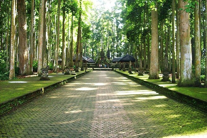 Bali ATV Combined with Mumbul Lake And Sangeh Monkey Forest - Private transport makes the six-hour schedule easier