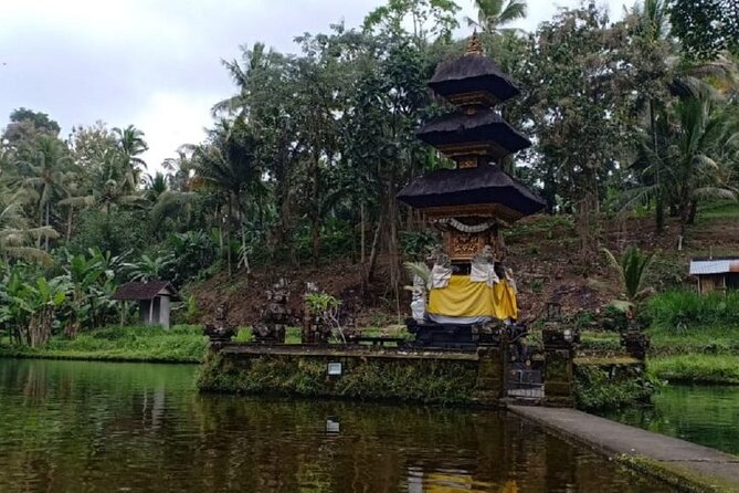 Bali ATV Combined with Mumbul Lake And Sangeh Monkey Forest - Who should book this Bali outing?