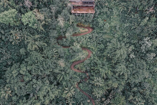 Bali ATV Quad Bike Adventure with Gorilla Cave Pass By Waterfall - Riding Through Gianyar’s Tropical Trails