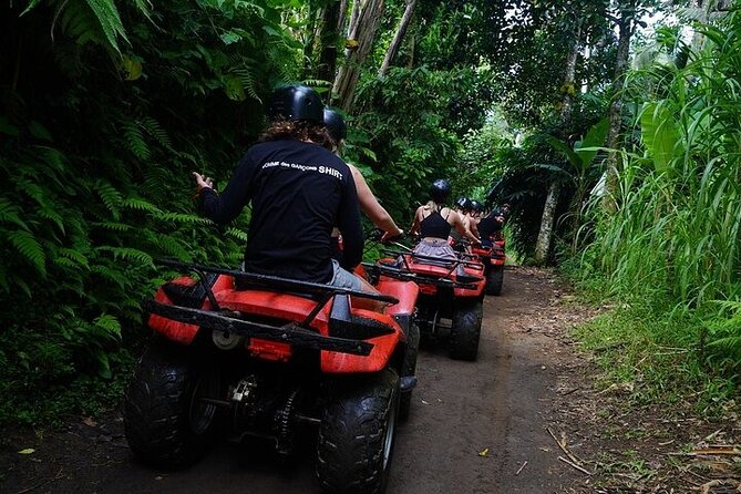 Bali ATV Quad Bike Adventure with Gorilla Cave Pass By Waterfall - Waterfalls and the Messy Side of Adventure