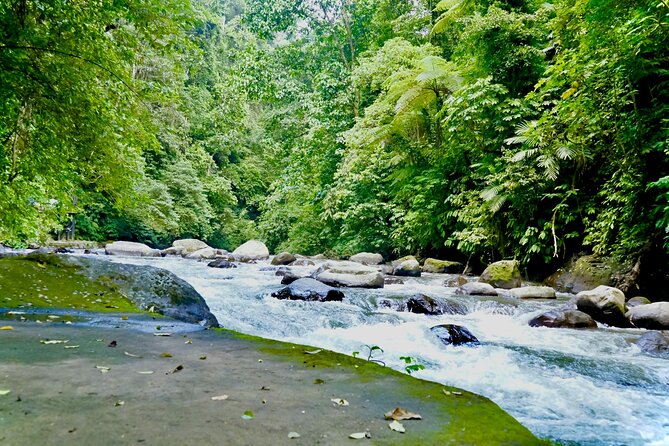 Bali ATV Quad Bike & Ayung River Rafting Combo with Lunch - What the Strongest Praise Tells You
