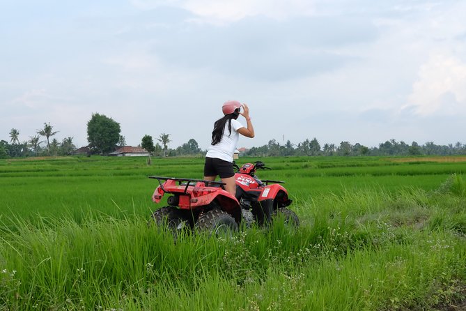 Bali Atv Quad Bike Through Tunnel and Waterfall - Riding through jungle, plantations, and rice fields