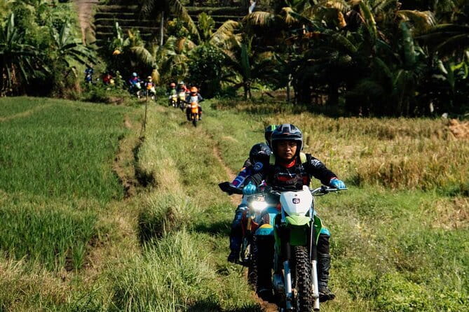 Bali ATV Quad Bike Ubud Swing & Monkey Forest All Inclusive - Who Will Enjoy This Bali ATV Tour?