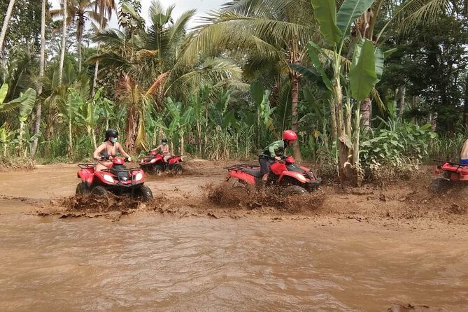 Bali ATV Quadbike Through Gorilla Face Cave - Is $90.81 a fair price?
