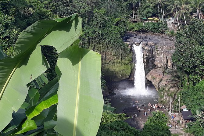Bali ATV Rafting And Ubud Waterfall Private Tour - What the 4.8 rating tells you, and what it does not