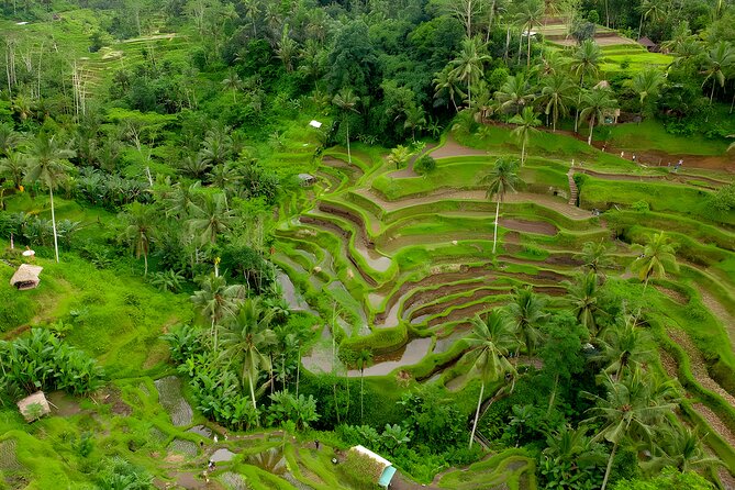 Bali ATV Ride And Ubud Tour Packages : Best Quad Bike Trip - The ATV trail: two hours of mud, caves, and countryside