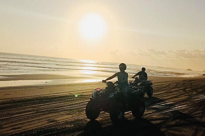 Bali ATV Ride On the Beach, Rice Field and Village Tour 2 Hour - Stop 2: Tegal Mengkeb village and rice fields