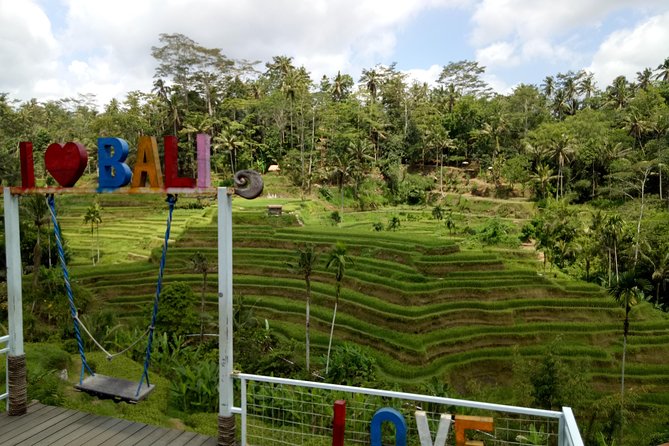 Bali ATV Ride with Jungle Swing and Rice Terrace Tour - A high swing at d’Alas Swing