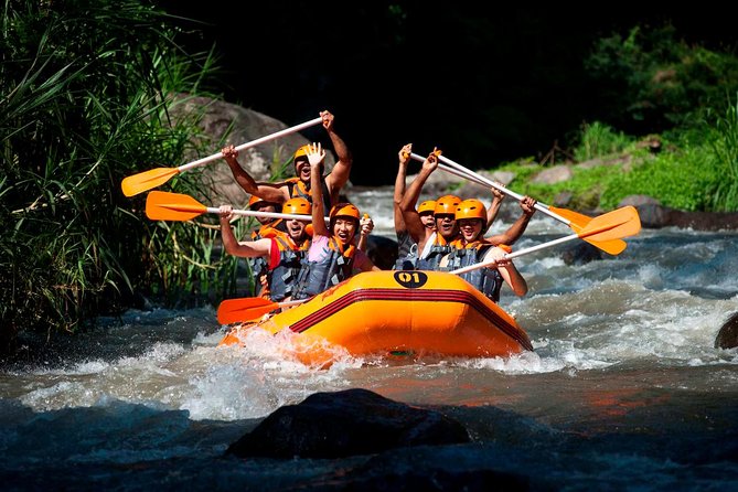 Bali Ayung River White Water Rafting with Transport - Key points to know before you book