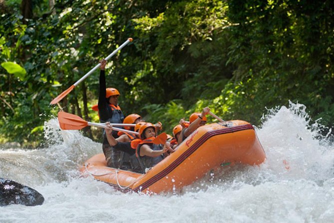 Bali Ayung River White Water Rafting with Transport - Is $53 a fair price?