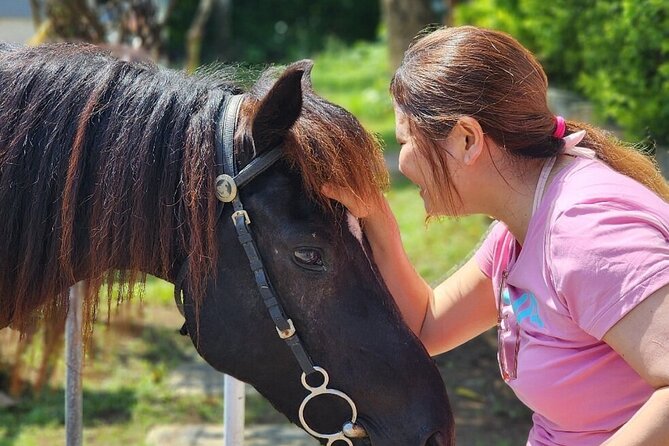 Bali Beach Horse Riding combo with waterfall All Inclusive - Small details that improve the day