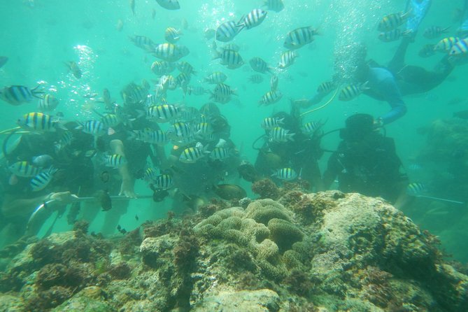 Bali Beaches Hopping - Uluwatu Temple - Uluwatu Temple: cliff views, monkeys, and a hot performance