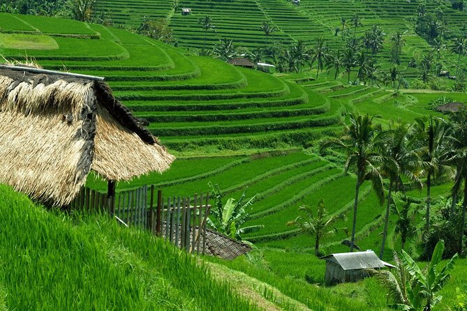 Bali: Bedugul Lake Temple, Banyumala Waterfall, UNESCO Rice Field - Ulun Danu Beratan Temple on Lake Beratan
