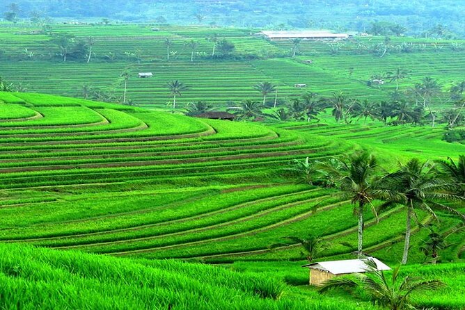 Bali: Bedugul Lake Temple, Banyumala Waterfall, UNESCO Rice Field - Lunch at Gong Jatiluwih
