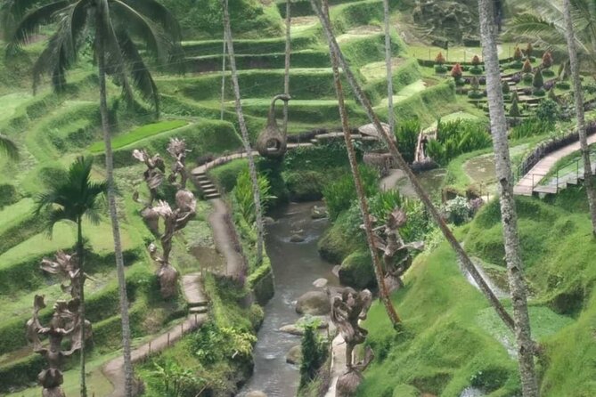 Bali Benoa Shore Excursion for cruise's passenger - All Inclusive - Tegallalang Rice Terrace: the iconic Bali view