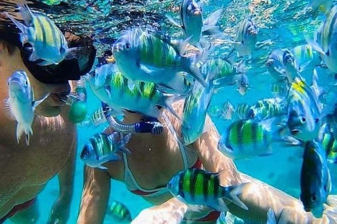 Bali Best Snorkeling at Blue Lagoon - Quick take: what makes this snorkeling trip useful