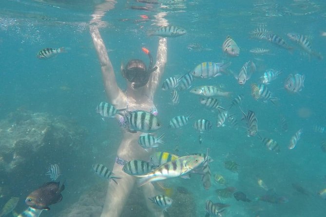 Bali Best Snorkeling at Blue Lagoon - The limits you should understand before booking