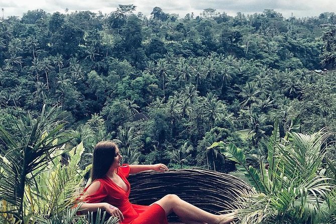 Bali BEST Things to Do Private Full-day Tour from Your Hotel - Tegalalang Rice Terrace and Bali’s working countryside