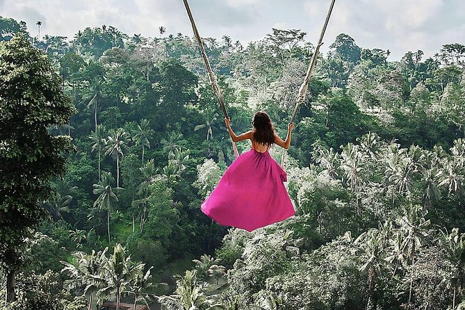 Bali BEST Things to Do Private Full-day Tour from Your Hotel - Tirta Empul, the Monkey Forest, and Ubud’s center