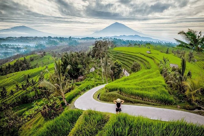 Bali BEST Things to Do Private Full-day Tour from Your Hotel - How the private vehicle changes the day