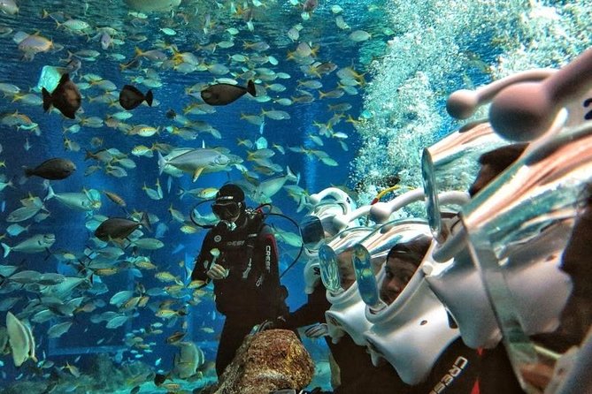Bali Best Watersport Sea walker,Parasailing adventure,Jet sky - From Ubud to Tanjung Benoa at 8:30 am