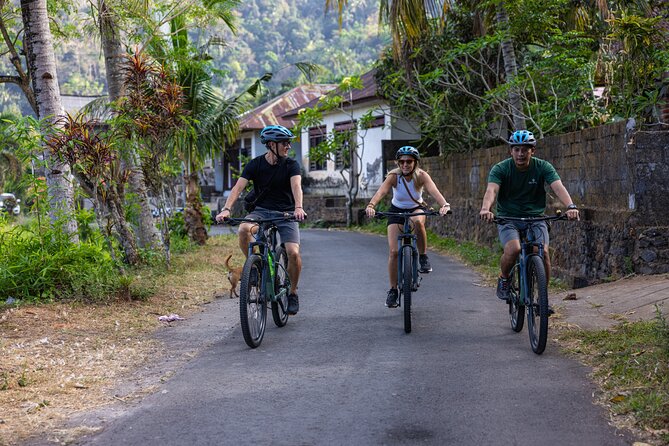 Bali Bike Tour Ubud Area - What makes this Ubud cycling day different