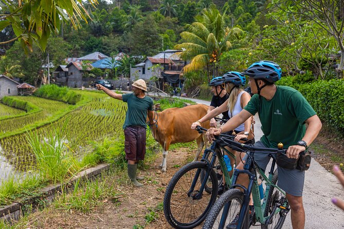 Bali Bike Tour Ubud Area - Bongkasa ends the ride with lunch