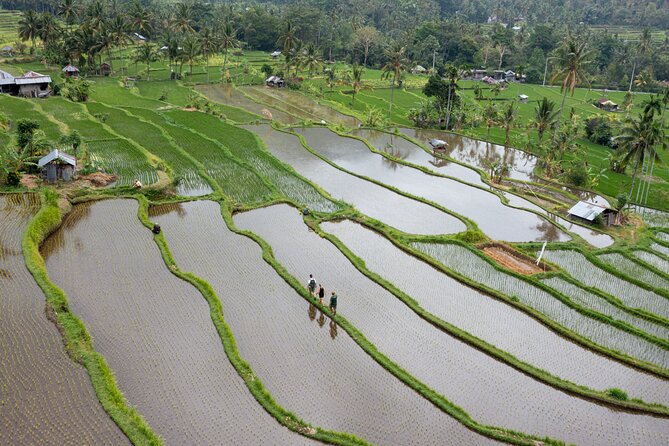 Bali Bike Tour Ubud Area - What the $67.28 price includes