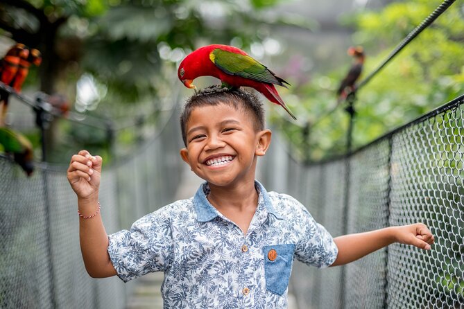 Bali Bird Park Admission Ticket - What the Bali Bird Park experience is like