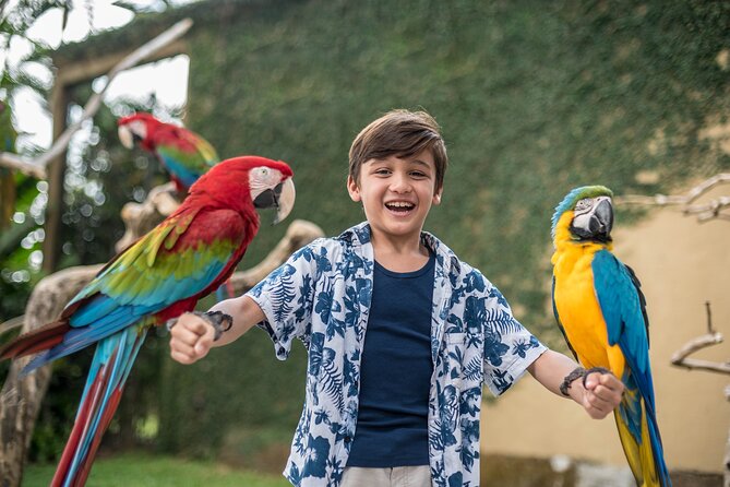 Bali Bird Park Admission Ticket - Eagles, owls, and the Bird of Prey Show