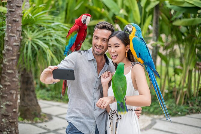 Bali Bird Park Admission Ticket - How much value do you get for $18.82?