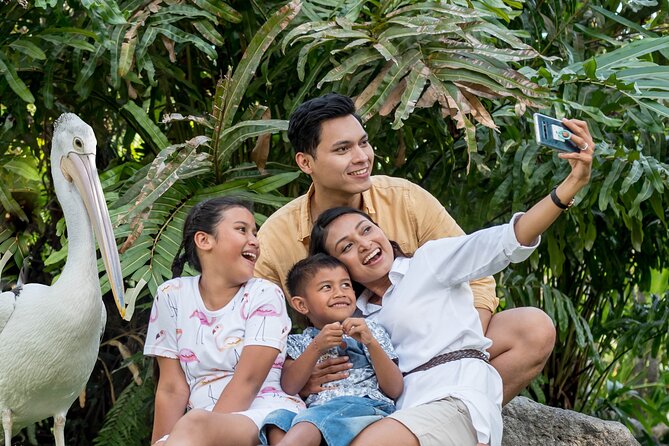 Bali Bird Park Admission Ticket - Timing your three-hour visit