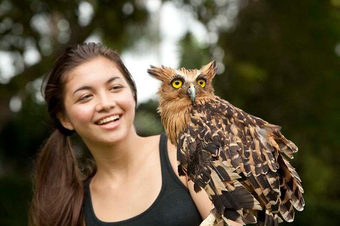 Bali Bird Park Admission Ticket with Hotel Transfer - Why Bali Bird Park makes a good half-day plan