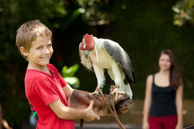 Bali Bird Park Admission Ticket with Hotel Transfer - Entering the park and finding your own pace