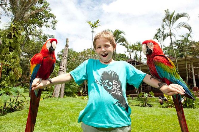 Bali Bird Park Admission Ticket with Hotel Transfer - The birds you can expect to see