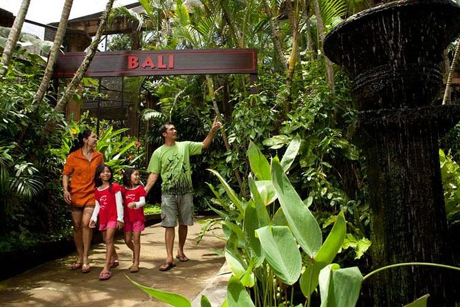 Bali Bird Park Admission Ticket with Hotel Transfer - Shows and feeding times shape the visit