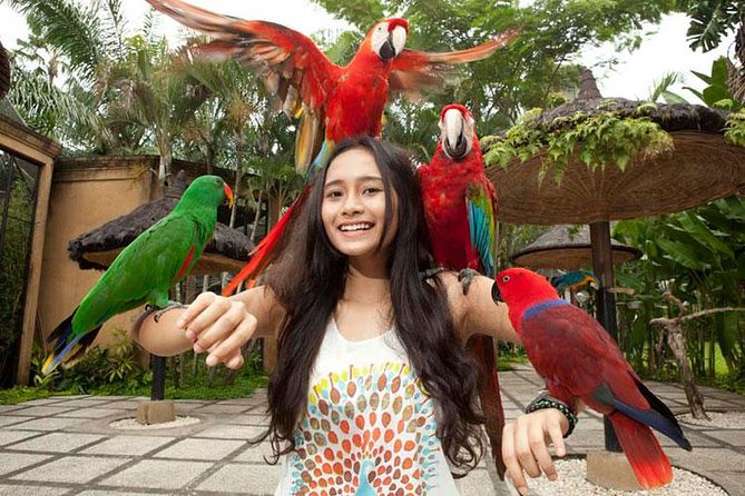 Bali Bird Park Admission Ticket with Hotel Transfer - How much time should you allow?