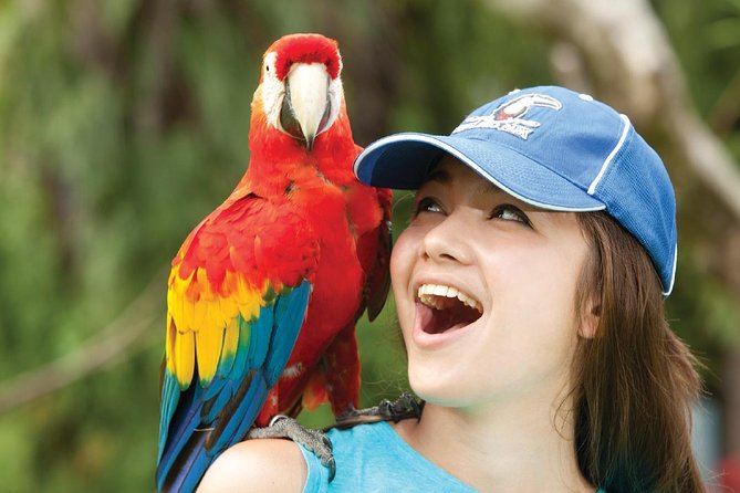 Bali Bird Park Admission Ticket - Feeding sessions and hands-on moments