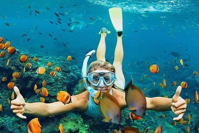 Bali : Blue Lagoon Snorkeling combine with Bali Swing in Ubud - The road to Tegalalang Rice Terrace