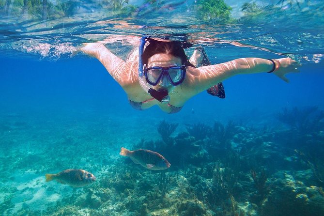 Bali Blue Lagoon Snorkeling Experience - Practical preparation for a smoother outing