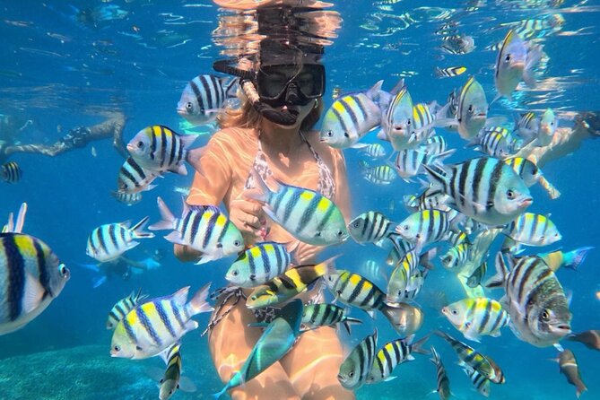 Bali Blue Lagoon Snorkeling - Lunch and Transport All Inclusive - Key points before you book