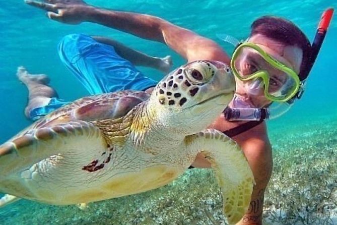 Bali Blue Lagoon Snorkeling - Lunch and Transport All Inclusive - Coffee, tea, and a taste of local production