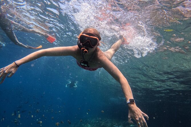 Bali Blue Lagoon Snorkeling - Lunch and Transport All Inclusive - Who should book this experience?