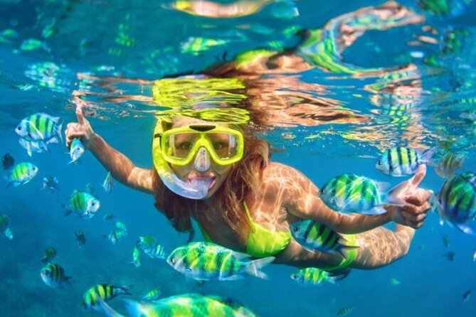 Bali Blue Lagoon Snorkeling - Lunch and Transport All Inclusive - Why the snorkeling guide matters