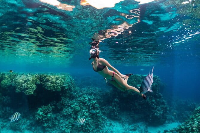 Bali Blue Lagoon Snorkeling Tour All Inclusive - Why this Padang Bai day trip works from Seminyak