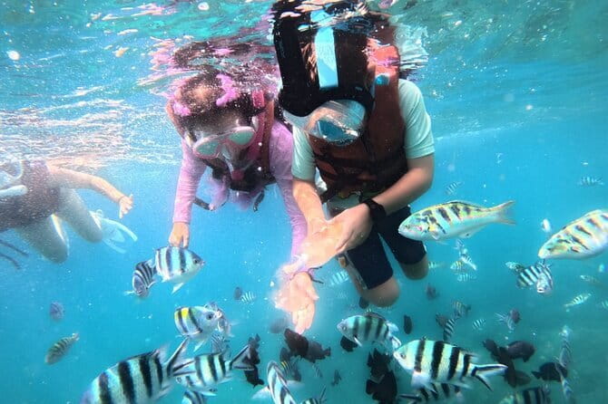 Bali Blue Lagoon Snorkeling Tour All Inclusive - Is $42 a fair price?