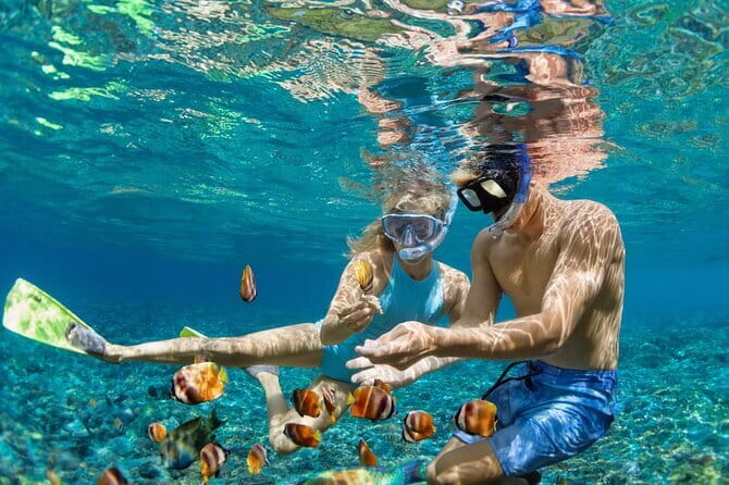 Bali Blue Lagoon Snorkeling Tour All Inclusive - Who should book this snorkeling tour?
